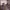 https://res.cloudinary.com/billionhands/image/upload/v1775071465/items/pa9odedodlmbmkgcrqto.jpg-0cover