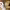 https://res.cloudinary.com/billionhands/image/upload/v1775071736/items/o6ogcevt1kbhd8sewild.jpg-3cover