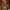 Charlie Day cover