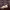 https://res.cloudinary.com/billionhands/image/upload/v1775071860/items/jdnzptzhgu1rrp0zknxk.avif-0cover
