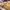 https://res.cloudinary.com/billionhands/image/upload/v1775071955/items/dhupszuuhk9mmeuj3dy9.jpg-2cover