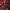 https://res.cloudinary.com/billionhands/image/upload/v1775071991/items/xbm2ok9nbwqzxf8viybr.jpg-2cover