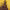https://res.cloudinary.com/billionhands/image/upload/v1775072036/items/mfyqv5sfvfdu2ogvw5h6.jpg-1cover