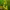 https://res.cloudinary.com/billionhands/image/upload/v1775072038/items/w26zrrzixsiv0n7k8p3y.jpg-3cover