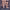 https://res.cloudinary.com/billionhands/image/upload/v1775072049/items/wxrffi4szjgff8oxewoq.jpg-3cover