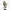 https://res.cloudinary.com/billionhands/image/upload/v1775072066/items/xlyfizefzkbuhpvopofc.jpg-3cover