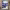 https://res.cloudinary.com/billionhands/image/upload/v1775072085/items/azakyy8bzjnyhq9qti3g.png-0cover