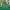 https://res.cloudinary.com/billionhands/image/upload/v1775072089/items/tjneovriujdcryvr0lco.jpg-2cover