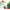 Best online seed suppliers cover