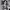 https://res.cloudinary.com/billionhands/image/upload/v1775072151/items/nbhdyneiezbx9lh0vtlk.webp-3cover