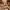 https://res.cloudinary.com/billionhands/image/upload/v1775072173/items/wllb6xpritnw8elc8ewg.jpg-0cover