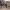 https://res.cloudinary.com/billionhands/image/upload/v1775072388/items/suhixsnbxq3py9lnttrd.webp-0cover