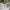 https://res.cloudinary.com/billionhands/image/upload/v1775072388/items/ve6bpxoxd2ojokbjo0fc.webp-1cover