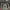 https://res.cloudinary.com/billionhands/image/upload/v1775072405/items/mhzagbh6qxti3qz0vjan.webp-1cover
