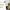 Sustainable Garden Tools with Bamboo Handles and Recycled Steel Blades cover