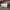 https://res.cloudinary.com/billionhands/image/upload/v1775072578/items/c2ptqrphjbadfqxaso9p.jpg-3cover