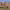 https://res.cloudinary.com/billionhands/image/upload/v1775072615/items/skqsi5bbtuyszwetnsws.jpg-0cover