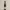 https://res.cloudinary.com/billionhands/image/upload/v1775072691/items/v3j5rv0qwedxvzzjynql.jpg-0cover