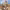 https://res.cloudinary.com/billionhands/image/upload/v1775072937/items/arpvwcapp53wcevnt0nm.jpg-3cover