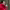 https://res.cloudinary.com/billionhands/image/upload/v1775072942/items/ii8gyzkzrjb0vac67nm2.jpg-2cover