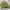 https://res.cloudinary.com/billionhands/image/upload/v1775073023/items/vphbgot1pjdp5kxilh6u.jpg-0cover