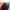 https://res.cloudinary.com/billionhands/image/upload/v1775073177/items/jpkqxboxz1p7uvvhfbi0.jpg-1cover