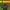 MintGens (play.mintgens.net:25593) cover