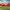 https://res.cloudinary.com/billionhands/image/upload/v1775073249/items/ynqbvio41qdblcxtkvb5.jpg-2cover