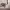 https://res.cloudinary.com/billionhands/image/upload/v1775073550/items/lpkpboqovyectmaopavd.jpg-1cover