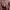 La Tortura (2005) cover