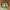 https://res.cloudinary.com/billionhands/image/upload/v1775073675/items/pnwve0ubupf5gkovjccc.jpg-2cover