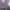 https://res.cloudinary.com/billionhands/image/upload/v1775074073/items/o3u3hgvscehekmwxhdoz.jpg-3cover