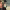https://res.cloudinary.com/billionhands/image/upload/v1775074078/items/ohuhfrnfatpf2jtmst38.jpg-3cover