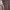 https://res.cloudinary.com/billionhands/image/upload/v1775074139/items/x0lp4ptoavfqyjfnwten.jpg-2cover
