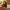 https://res.cloudinary.com/billionhands/image/upload/v1775074197/items/vedaaqvwyskhzpc5whb1.jpg-1cover