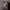 https://res.cloudinary.com/billionhands/image/upload/v1775074647/items/slqfpxbe3t2xzb3nl2ld.webp-2cover