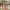 https://res.cloudinary.com/billionhands/image/upload/v1775075418/items/orhdbwyoxpr6rlakgoql.webp-2cover