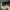 https://res.cloudinary.com/billionhands/image/upload/v1775076092/items/qkvv1s7iqgkumwhmlbts.jpg-0cover