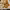 https://res.cloudinary.com/billionhands/image/upload/v1775076897/items/yfhted1reuhk8ovyfyzk.jpg-1cover