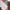 https://res.cloudinary.com/billionhands/image/upload/v1775077345/items/wr2g0uwagzzygfydiy46.png-1cover