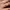 https://res.cloudinary.com/billionhands/image/upload/v1775078248/items/w1undbcevirfey9mieb4.jpg-3cover