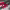 https://res.cloudinary.com/billionhands/image/upload/v1775078251/items/vrfcmauzpuw2zqznrt8s.jpg-1cover