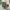 https://res.cloudinary.com/billionhands/image/upload/v1775078351/items/f2gouyjhxapdvda5zybi.png-3cover