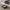 https://res.cloudinary.com/billionhands/image/upload/v1775078419/items/gh5jfnj1gef78qzh78ow.jpg-1cover