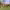 https://res.cloudinary.com/billionhands/image/upload/v1775078464/items/wq7jmz06redgskertp2z.jpg-0cover