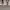 https://res.cloudinary.com/billionhands/image/upload/v1775078511/items/rq4sbnokkxjjhbwsdjlv.jpg-1cover