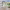 https://res.cloudinary.com/billionhands/image/upload/v1775078542/items/zlzrmo5d6pmd1enbpklz.jpg-0cover
