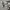 https://res.cloudinary.com/billionhands/image/upload/v1775078543/items/klbutfi4g02tuaf9owmu.jpg-1cover