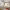 https://res.cloudinary.com/billionhands/image/upload/v1775078546/items/risnjnxufcaidzl3vyig.jpg-1cover