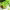 https://res.cloudinary.com/billionhands/image/upload/v1775078627/items/gt5cldxywz4eoiz1mcji.webp-3cover